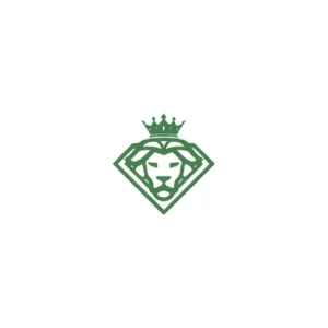 Panorama Hair Turkey logo
