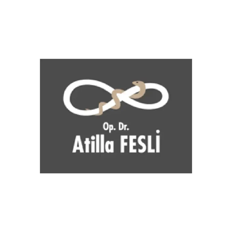 Dr. Atilla Fesli