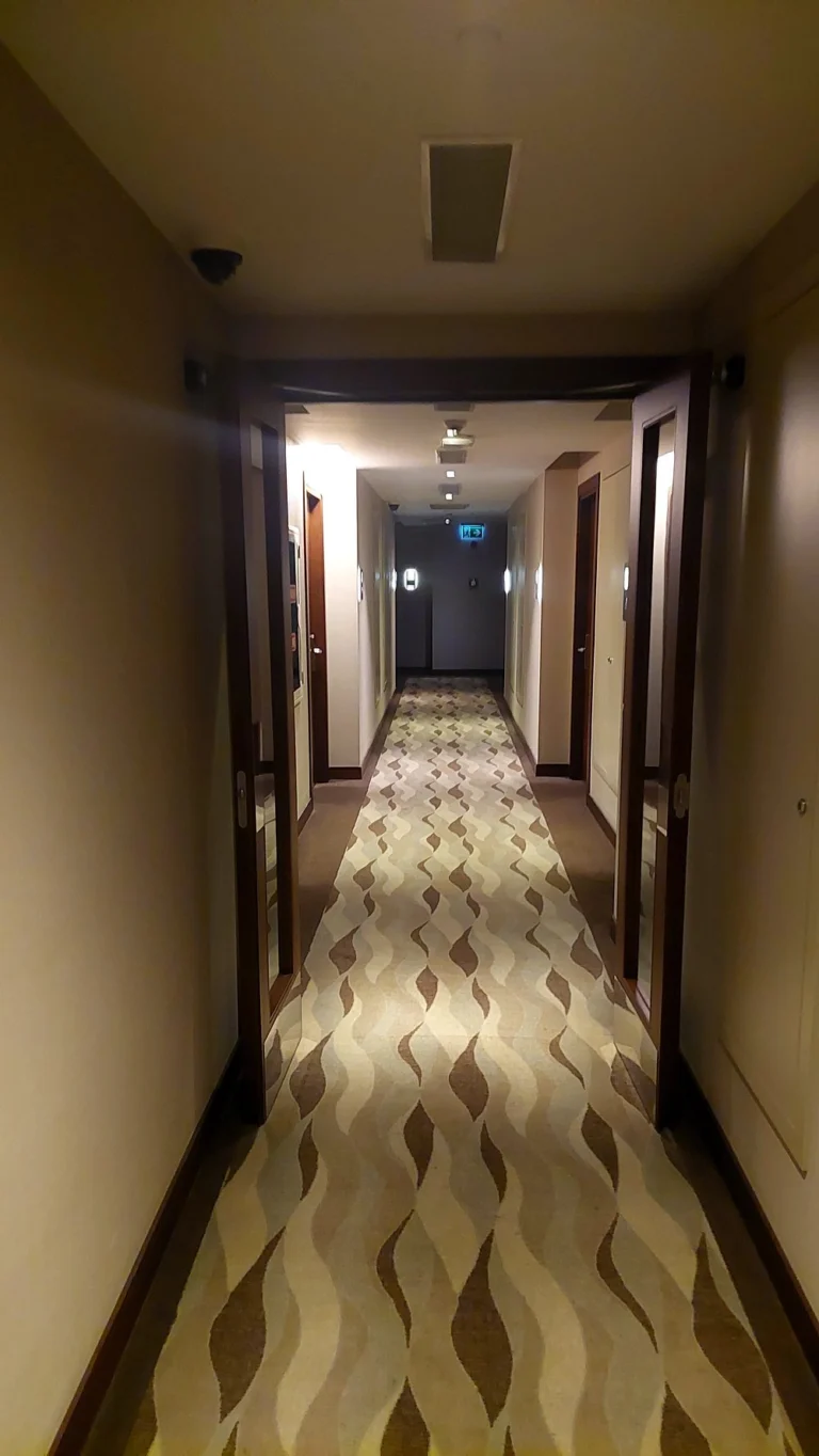 Innova Sultanahmet Hotel photo 2