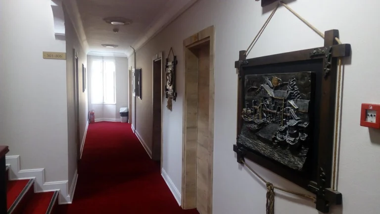 Sava Hotel photo 2
