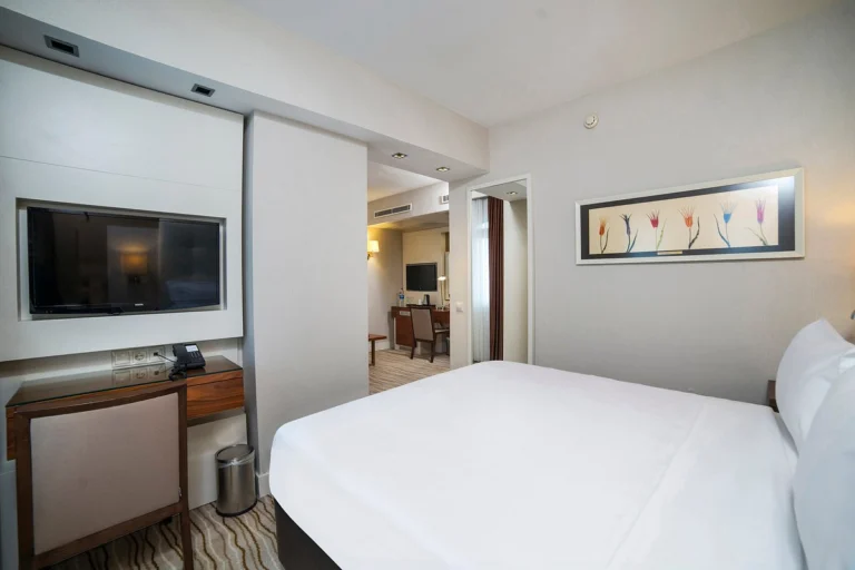 Radisson Hotel Istanbul Sultanahmet photo 4