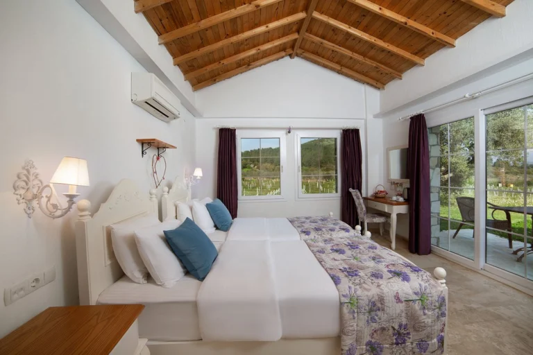 Vinifera Vineyards Hotel photo 2