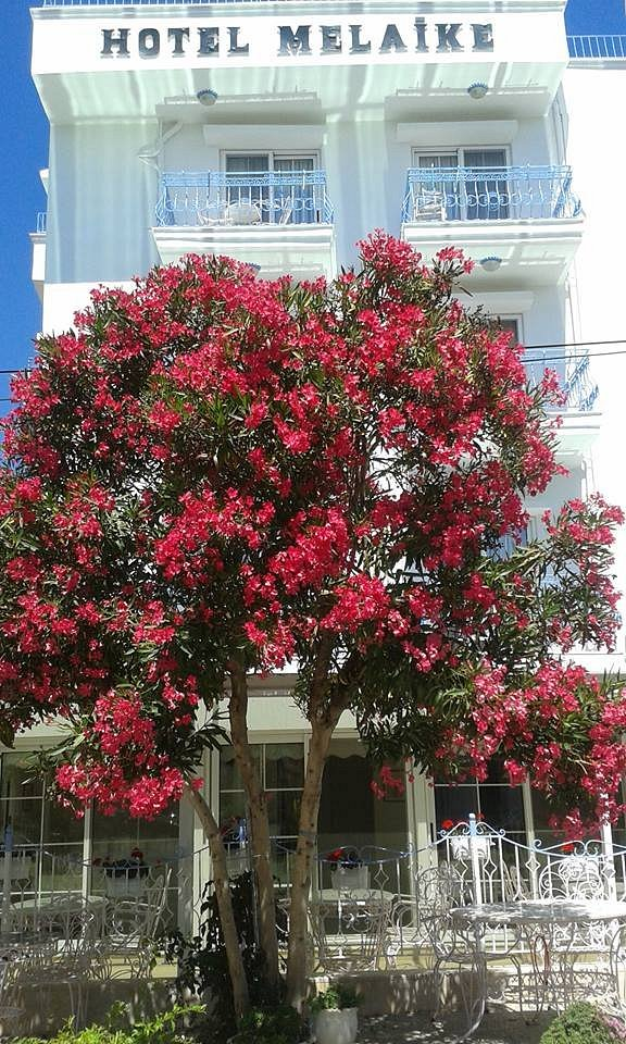 Melaike Otel