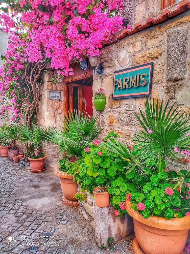 Parmis Boutique House