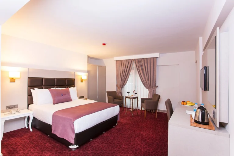 Perla Arya Hotel photo 3