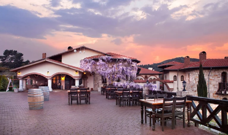 Vinifera Vineyards Hotel photo 4