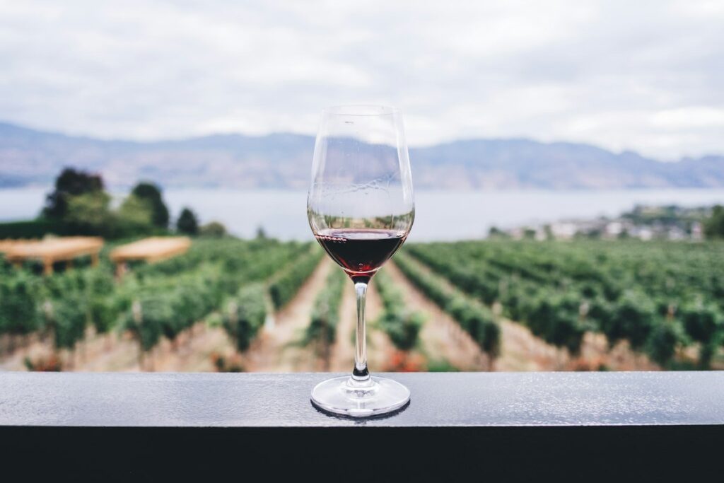 Urla Boutique Hotels and Wineries: Aegean Gourmet Escape