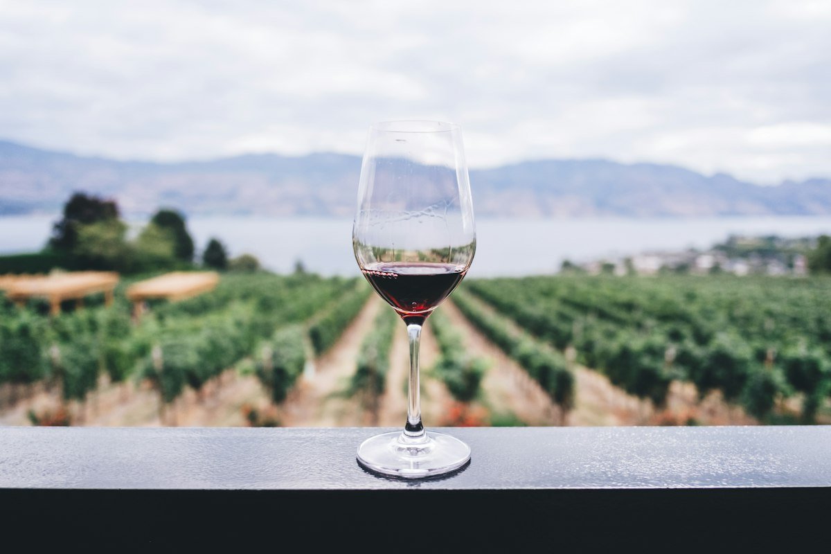 Urla Boutique Hotels and Wineries: Aegean Gourmet Escape